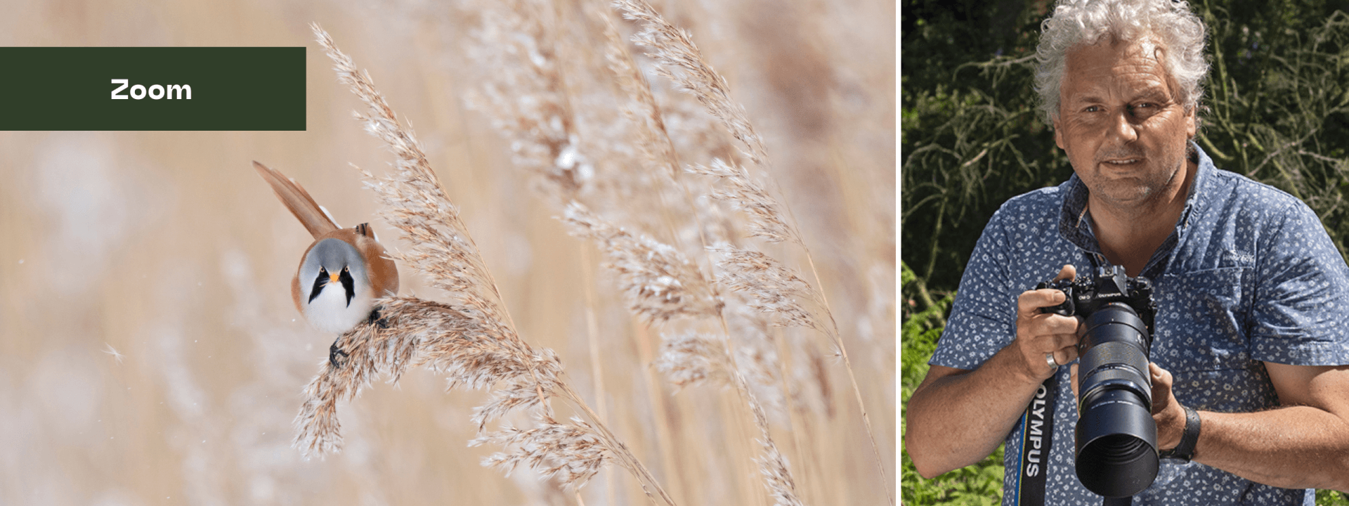 Winter - How, when and what to photograph with OM Ambassador David ...
