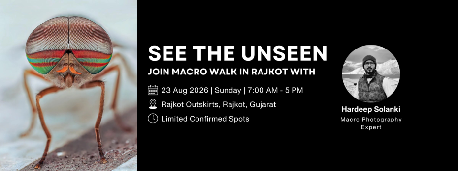 Event cover image