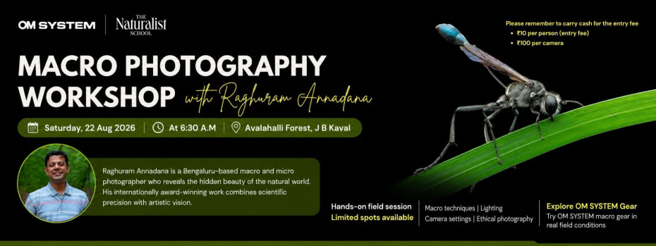 Event cover image