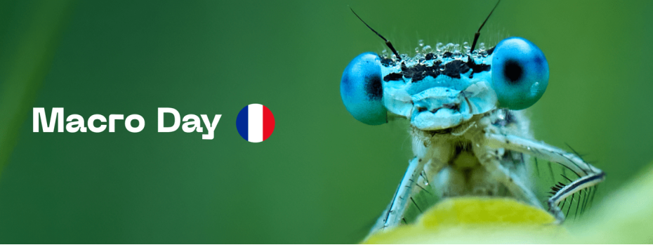 Event cover image