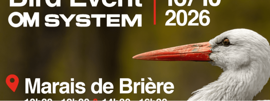 Event cover image