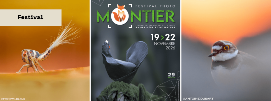 Event cover image
