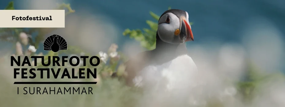 Event cover image