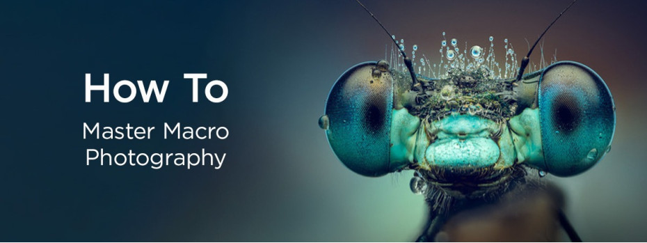 Event cover image