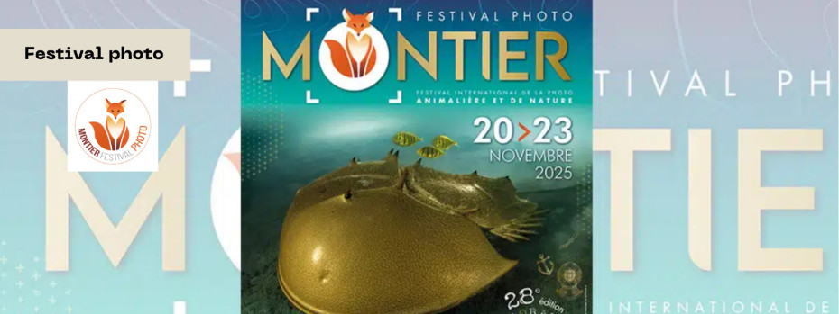 Event cover image